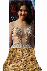 12932715 10153472544737927 1449151827468376295 n.jpg (70 KB) 網民改圖