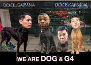 WeAreDog&G4.jpg (67 KB) WeAreDog&G4