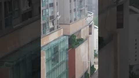 天鴿襲港-昇御門吊船撞爆住宅窗戶