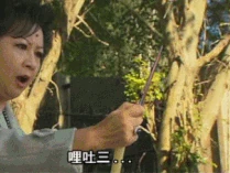 1257262236.gif (499 KB) 1257262236