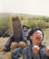 20081101131419251.jpg (28 KB) 20081101131419251