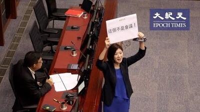 「送中引渡惡法」容海恩擔當建制派唯一舉牌女郎出席泛民草案委員會