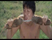 Dolun kungfu.gif (2.2 MB) Dolun kungfu