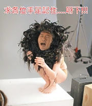 薛凱琪唱片封面（一）