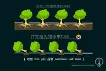 Tree pit.jpg (44 KB) Tree pit