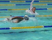 Ctallp17.jpeg (39 KB)