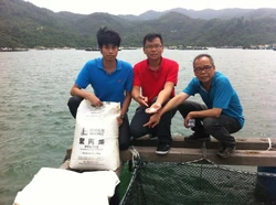 313567 337395209679558 471934886 n.jpg (59 KB) 民建聯成功爭取執膠