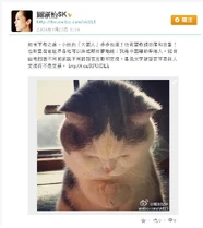 關淑怡最後打圓場