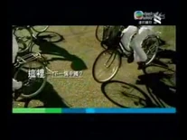 2008jade logo on ad17