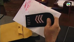 Gunmetalgrey-10-2.jpg (23 KB) Gunmetalgrey-10-2