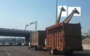 一車車重治