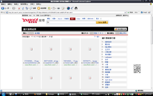 64yahoo.png (73 KB) 於雅虎香港圖片搜尋輸入"64"字眼時出現叉包