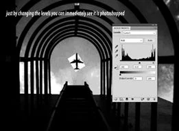 網民分析是合成照