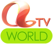 國際台的台徽（2008年）