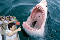 1430108191915SL4 E9B1B67638E12669865FA5500D2327F7.jpg (64 KB) 1430108191915SL4 E9B1B67638E12669865FA5500D2327F7