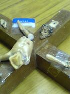 Jesus3.jpg (74 KB) Jesus3