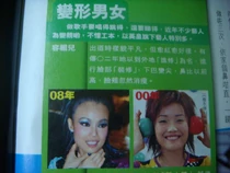 20090108 joey man made