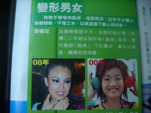 20090108 joey man made