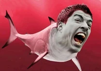 10349205 782583598428625 1969621885273327633 n