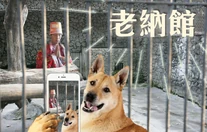 A8094b888179ec1dcf35063715644924.png (1.17 MB) A8094b888179ec1dcf35063715644924