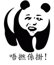 《盛女愛作戰》Florence熊貓版