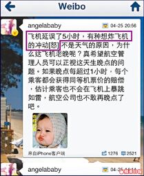 Baby在微博揚言「有種想炸飛機的衝動」，有律師指她此舉已觸犯香港和內地法律。最高刑罰可被判監禁 5年。