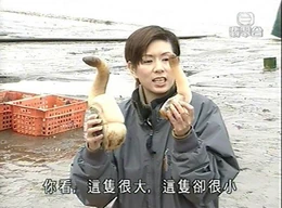 3221751 4cd96cef8d1b69ea133f6fd8170fd724