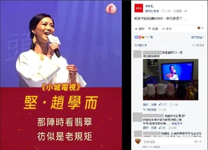 100毛fb專頁截圖