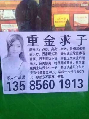 Bkn-20150919224321829-0919 00862 001 02b.jpg (92 KB) Bkn-20150919224321829-0919 00862 001 02b