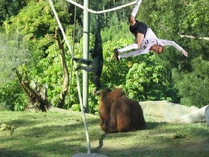 Ctallp2.jpg (184 KB)