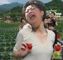 Iadj14.jpg (22 KB) Iadj14