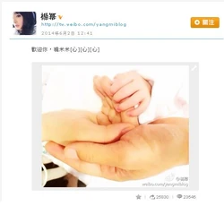 楊冪發放一家三口的牽手照