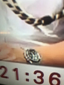 逃犯條例 PoliceFutureVideo zoomin.png (495 KB) 謝振中佩戴手錶時分針所顯示的時間(攝自香港電台電視片段)