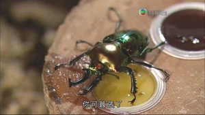 205871 241951785845055 241951175845116 752764 6431649 n.jpg (47 KB) 205871 241951785845055 241951175845116 752764 6431649 n