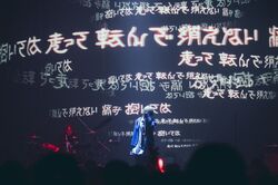 Amazon.co.jp: Eve KAIZIN 廻人 武道館 バンドライト eve 花嵐