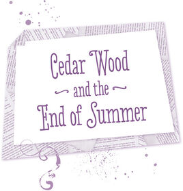 Book - CWS cover