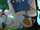 Tiny