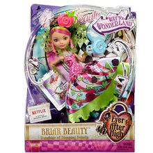 Briar-beauty-way-to-wonderland-doll-box
