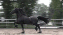 Tumblr n17hb4stdS1s5suo9o1 400.gif