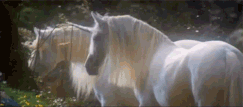 Giphy-0.gif