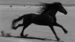Tumblr nt6ql2jmdv1u9qmcyo1 500.gif