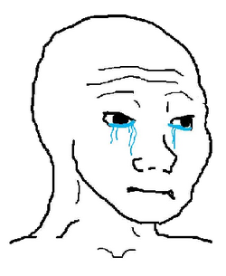 Human Righter.png