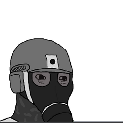 The Lower Level Security Guard.png
