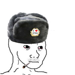 CEO of Stewism.jpg