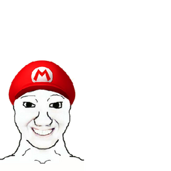 The Mario Mormon.png