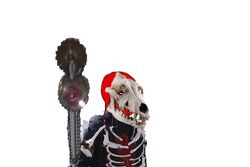 Bone Paladin.jpg