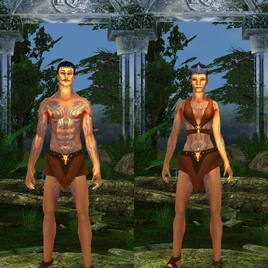 Drakkin Creation Models