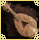 Bard