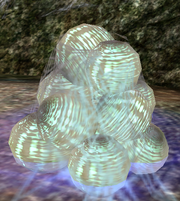 A Spider Cocoon Cluster