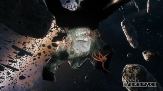 A cluster of scrap anemone